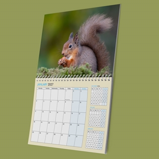 Show details for A4 Wiro-Book E