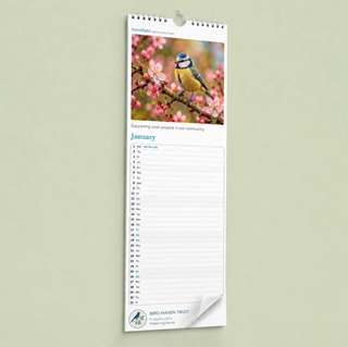 Show details for Slim Wall - 7 Leaf (double sided) with printed backing board - Design by us