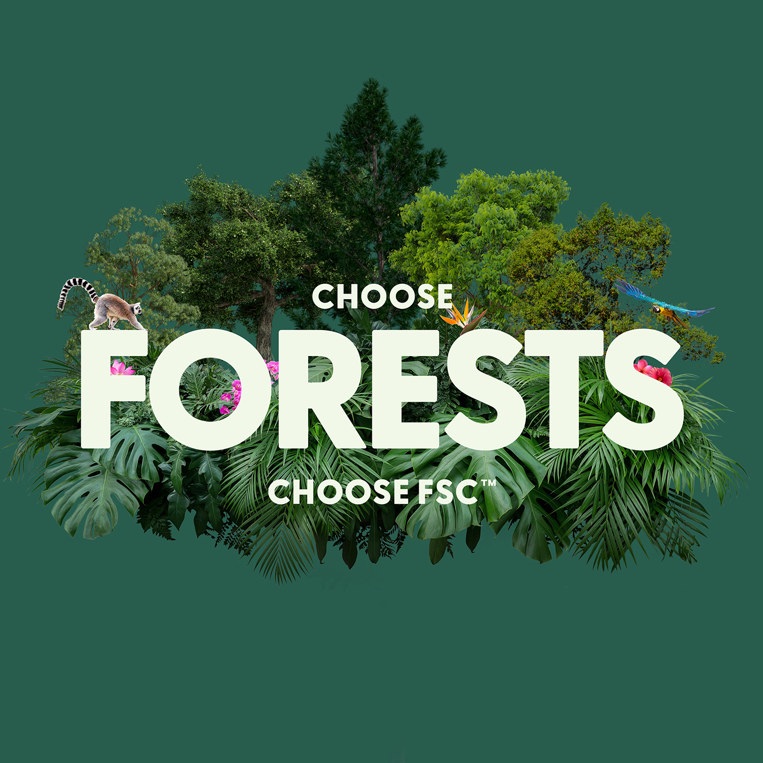 FSC forests-for-all logo on green tropical background